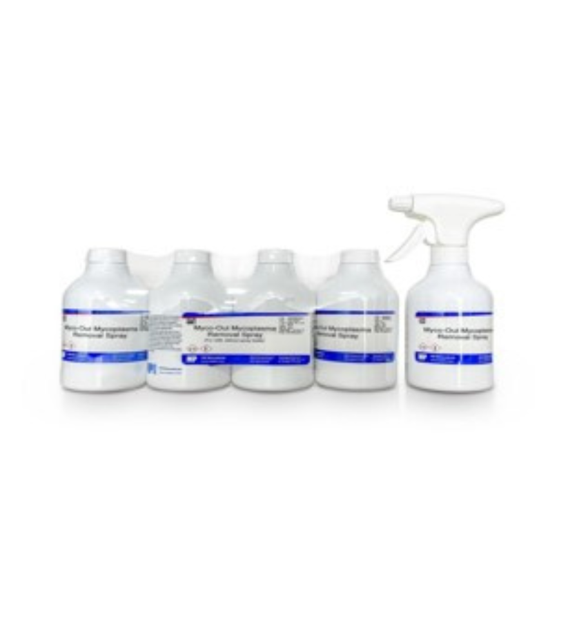 Electrophoresis Systems